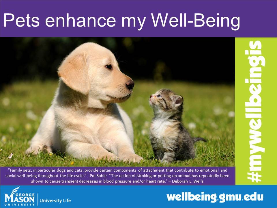Famous Quotes on Pets and Well-Being - Center for the Advancement of  Well-Being