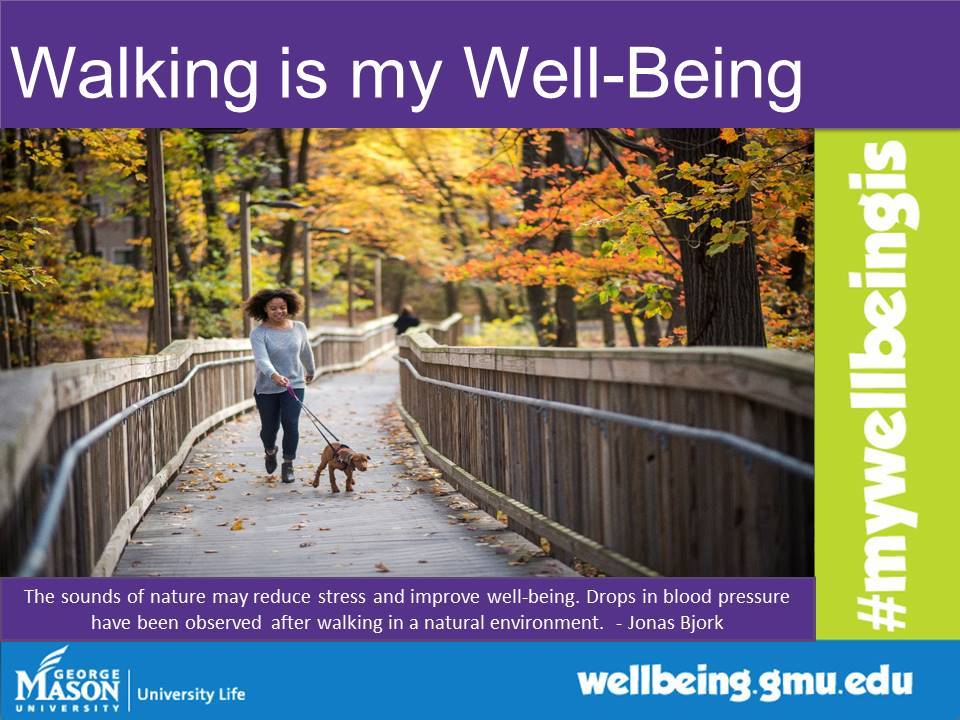 Walking is my Well-Being