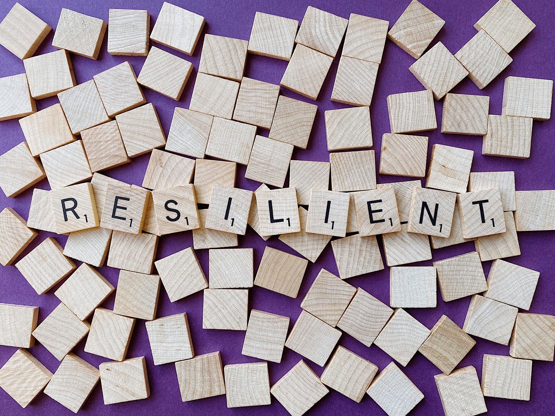 resilient resilience