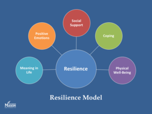 Mason Resilience Model