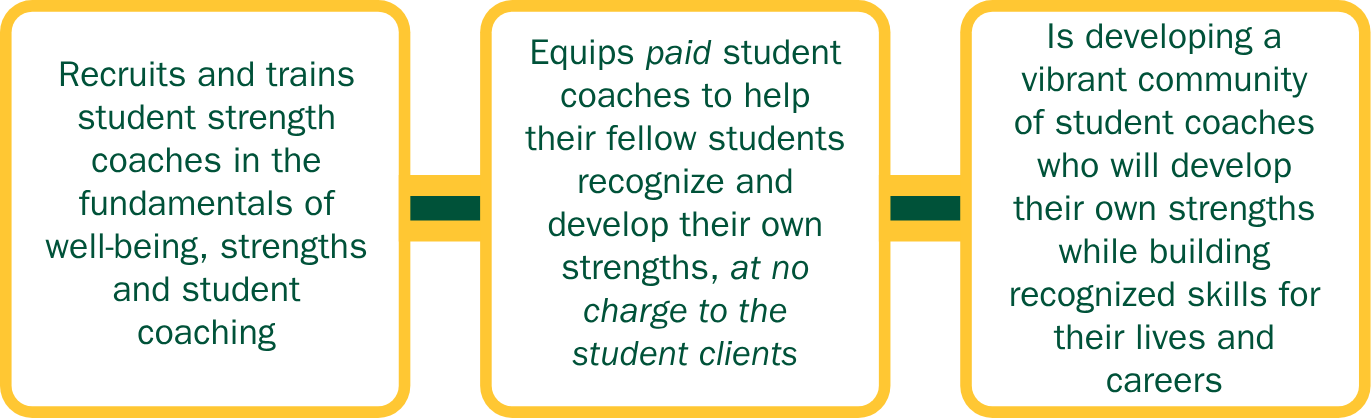 student strengths coaching box